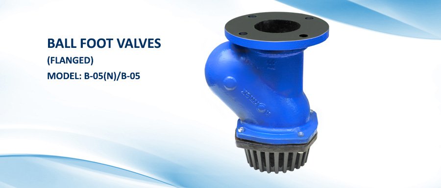 Cast Iron Ball Type Foot Valve